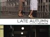 Late Autumn (Akibiyori); Review by Robert Pruter